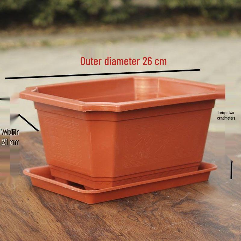 Large Rectangular Plastic Flower and Vegetable Planting Pot | Bonsai and Ficus Planter with Base