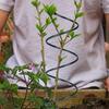 5Pcs Tomato Twist Stake Windproof Plant Support Spiral Tomato Cages Climbing Plant Stake Frame for Potted Plants Tomato Rose Vine