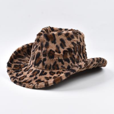 Chapéus e gorros – Chapéus de vaqueiro