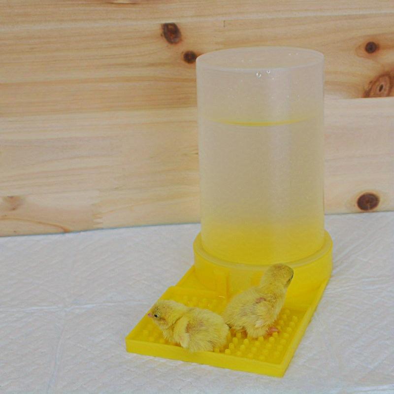 1 st Kycklingvattnare, Automatiskt matningssystem förhindrar drunkning, Förser med färskt vatten för uppfödning av friska kycklingar för bakgårdshönsuppfödare, Jordbrukare