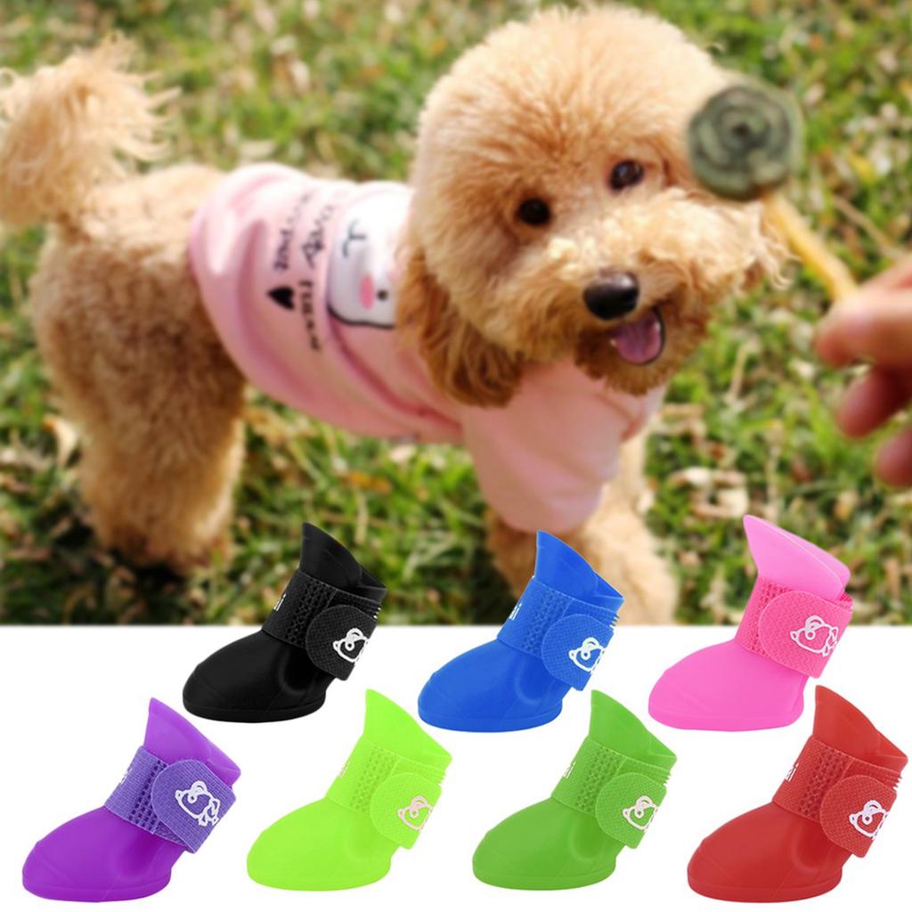 amazon prime dog booties