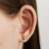 Hei [sv925] Airship Cubic Earring