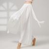 Chiffon Classical Dance Trousers Flowing Performance Costumes Fashion Dance Skirt Pant  Women