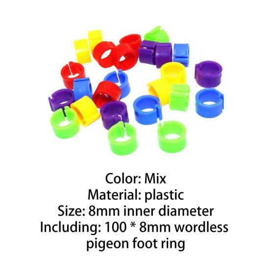 100Pcs Birds Leg Clips Harmless Extensible Plastic Mix Color 8mm Pigeon Foot Ring for Pet