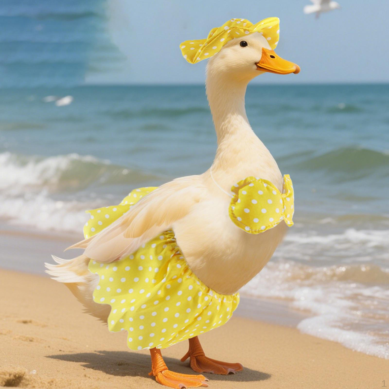 

Костюм гуся, шляпа, юбка, бикини, желтый для сада, балкона, крыльца, патио L