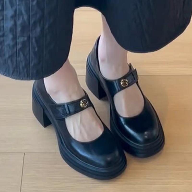 Fashion High Heels Mary Jance Women Shoes Chunky Fashion Dress Shoes Elegant Woman Pumps 2025 Summer Luxury Party Sandalias De Mujer