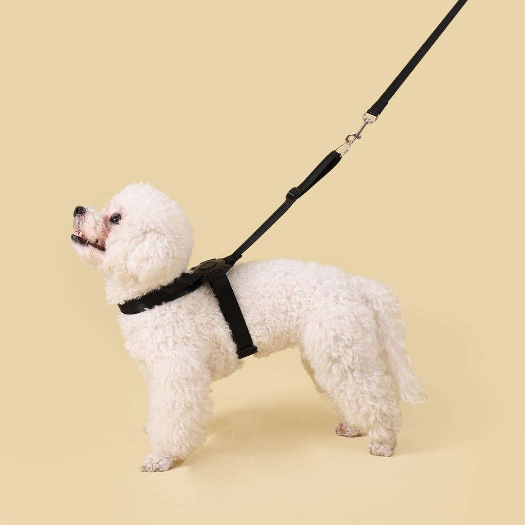 Quick Release Dog Harness Leash No Pull Pet Harness Adjustable Soft Harness For Small Medium Dog Pet Walking Chihuahua