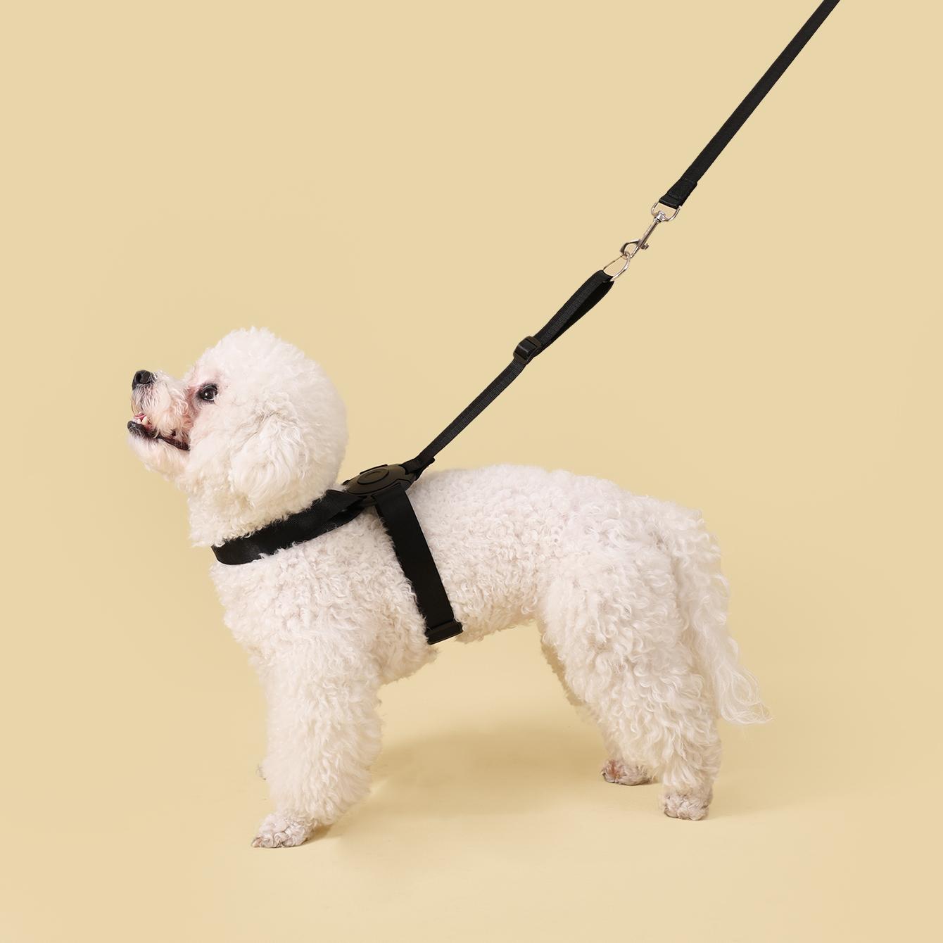 

Быстросъемный поводок для собак, не требующий усилий, регулируемый мягкий поводок для маленьких и средних собак, чихуахуа cat and small dog