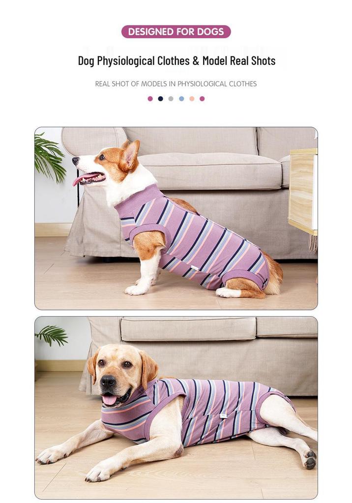 Cross-Border Pet Supplies: Velcro Dog Clothes for Sterilization and Recovery with Urine Pad Option