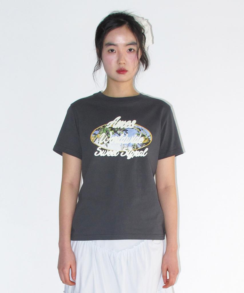 AMES-WORLDWIDE Palm Tree Oval Tee Charcoal