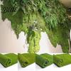 Mușchi Artificial Iarbă Artificială Pliabilă Frumoasă Plantă Falsă Naturală pentru Cameră de Zi Gazon