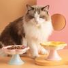 Neck Protection Ceramic Cat Bowl Anti Tipping Pet Drinking Eating Feeder  Snack Dish