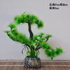 Miniature Pine Tree Plating Garnish, Welcome Prosperity Sushi Sashimi Cold Dish Decor for Restaurant