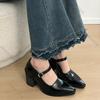 Fashion Black Pointed Thick High Heels Women's Shoes New Spring Retro Mary Jane Shallow Mouth Heels Women Belt Buckle Single Pumps Shoes