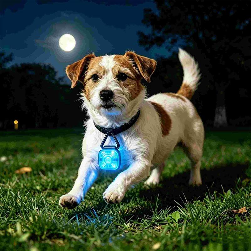 Pet Luminous Pendant, Dog Led Walking Pet Cat Glowing Pendant Safety Luminous Collar Dog Usb Rechargeable 3 Modes Flashlight