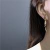Luxury Earrings Ear Clips Fashionable Earrings Without Ear Holes Ear Clips