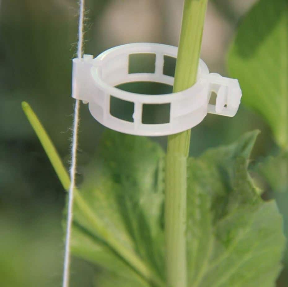 Clips for Tomatoes, Bean Plants, Shoots, 50 Pieces
