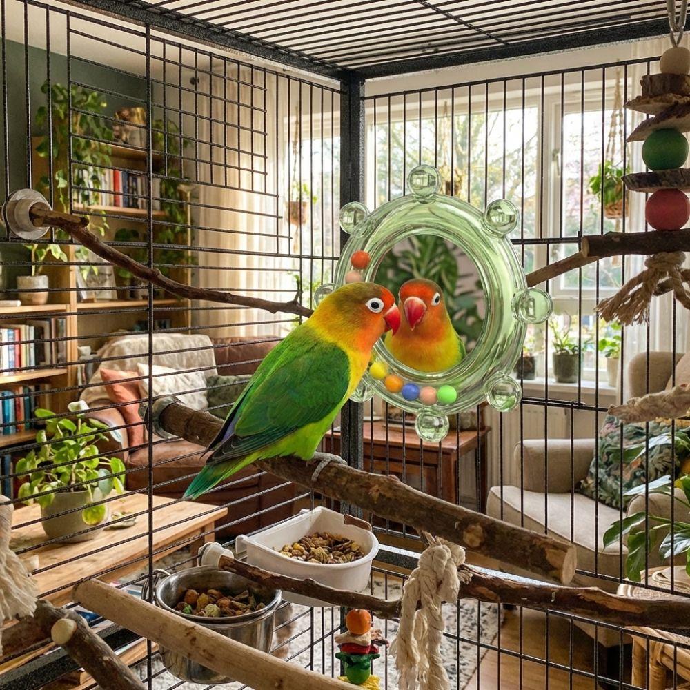 Spinning Puzzle Parrot Mirror Toy Wear-Resisting Parrot Spinning Wheels Small Parrot