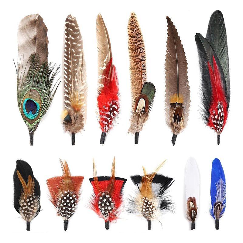 Premium-Hat Natural Feathers 12PCS Colorful Real Feathers