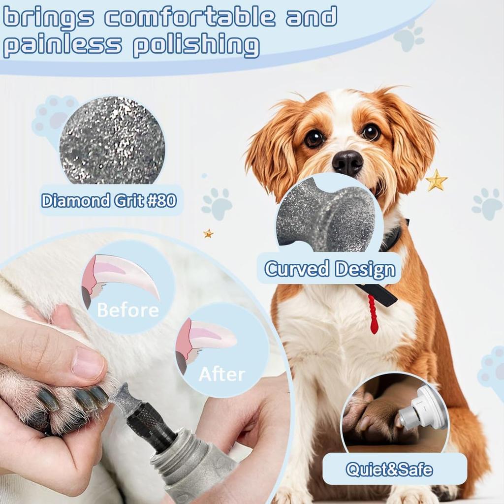 Diamond Rotary Nail Grinder Bits for Dogs, 2 Pack 1/8 Inch Shank #80 Grit Diamond Coated Nail Grooming Tool