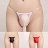 See Through Mens Briefs Sexy Stretch Thongs Underpants Breathable