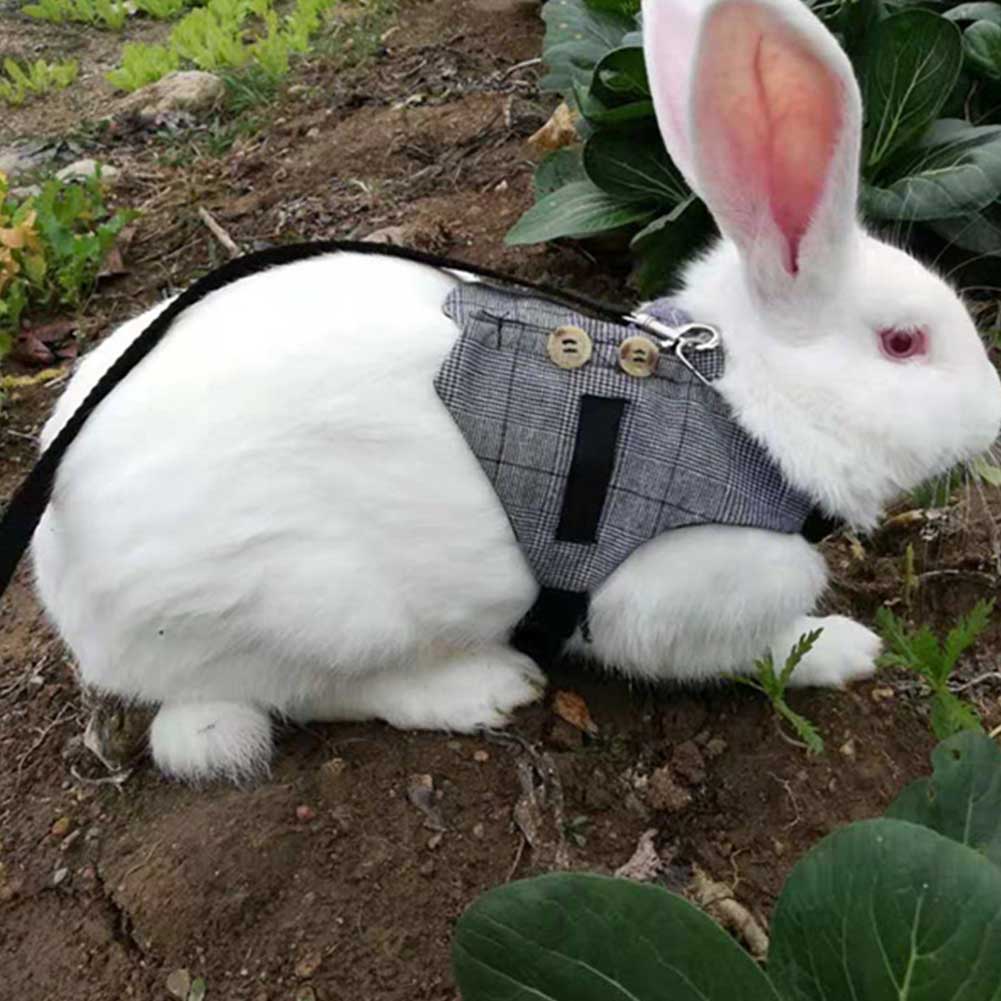 Soft Rabbit Breathable Harness with Leash Gentlemanly Style