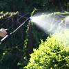 Electric Plant Sprayer Garden Sprayer with 8M 5M 3M Hose 3 Nozzles Portable Battery Powered Watering Wand Yard Lawn Weeds Plants