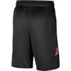 Nike Portland Trail Blazers Icon Edition 2025/26 Men's Nike Dri-FIT Nba Swingman Shorts HV6678-010
