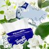 TEMPO Jasmine 4-Ply Facial Tissues
