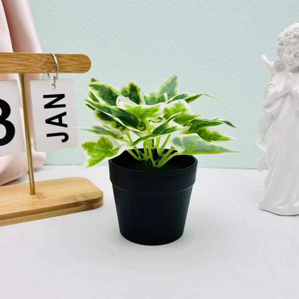 

Small Batatas Ipomoea Faux Greenery Potted Plant For Indoor And Outdoor Spaces White