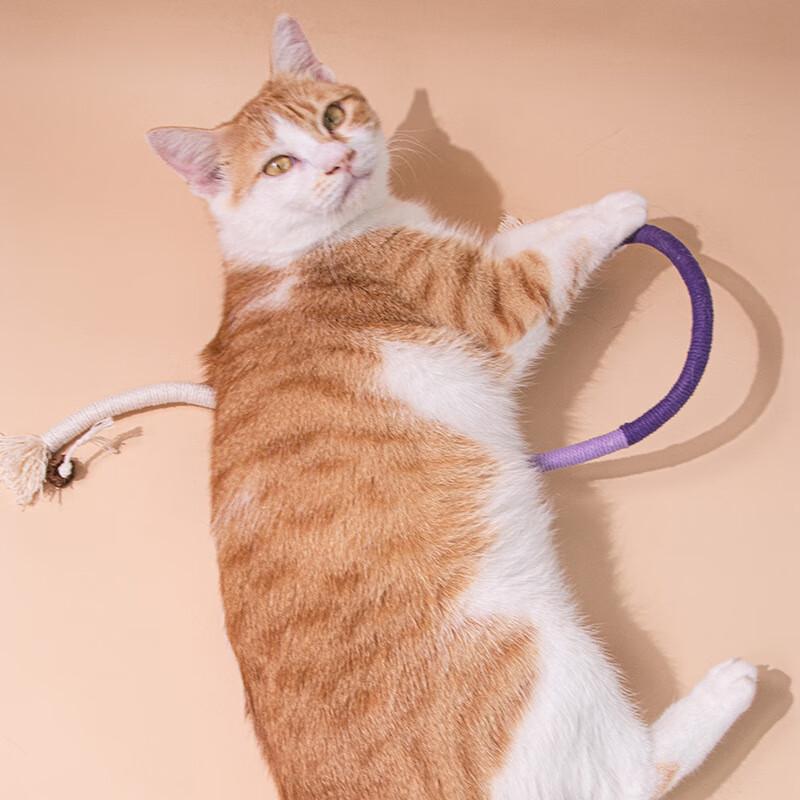 HOUYA Silent Durable Cat Chew Rope Toy (2-Pack)