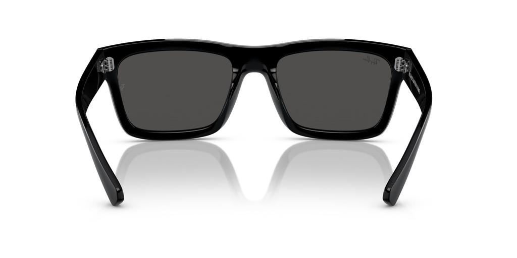 Sunglasses RB4396F WARREN BLACK 57 [Ray-Ban] Men's