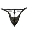 Low Waist Lace Triangle Panties Mesh Transparent Lace Thong Date Night T-back Briefs  Anniversary