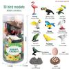 Mini Animal Growth Cycle Toys: Butterfly, Rooster, Ant, Frog, Sea Turtle, Dragonfly