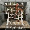 Natural Reptile Weaving Climbing Net Linen-cotton Bird Climbing Frame  Climbing Pet Animals