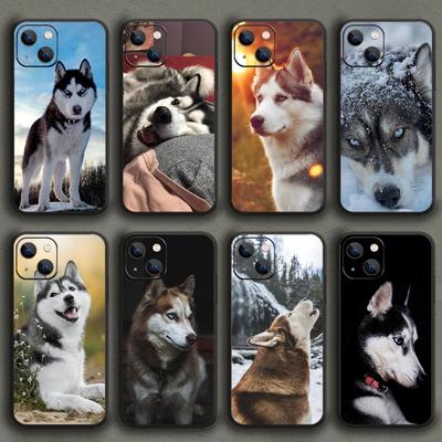 Siberian Husky Fool Cute Dog Phone Case For iPhone Samsung Galaxy Redmi Xiaomi Oppo OnePlus Note S A 7 8 9 10 11 12 13 14 20 21 22 23 53 54 Pro Ultra