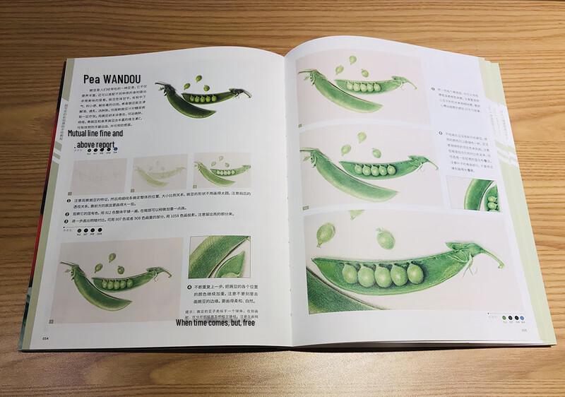 Realistic Color Pencil Drawing Tutorial