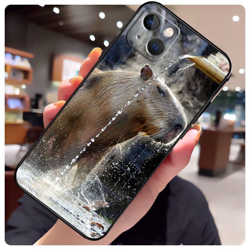 Animal Funny Capybara Case For iPhone 16 Pro Max 14 13 12 11 15 17 Pro Max mini 15 16 Plus 16e 17 Air Phone Cover