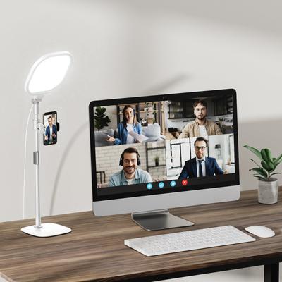 LitONES Ring Light, Actress Light, Desktop Lighting, Photography Light, Surface Emitting, Non-Glare, Streaming Light, Photo Shoot Light, Desk Light, W