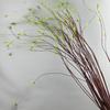 130cm Artificial Willow Branch Handmade Willow Leaf Vine Fake Willow Tree  Outdoor Indoor Decor