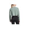 Adidas Solid Color Logo Print Short Sleeve Round Neck Sweatshirt Women Sweatshirt Silver Green HR5086