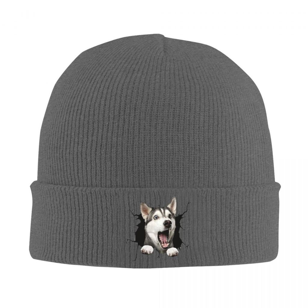 Breaking Through Cute Dog Warm Knitted Cap Winter Knit Bonnet Hat Skullies Beanies Hip Hop Caps for Unisex
