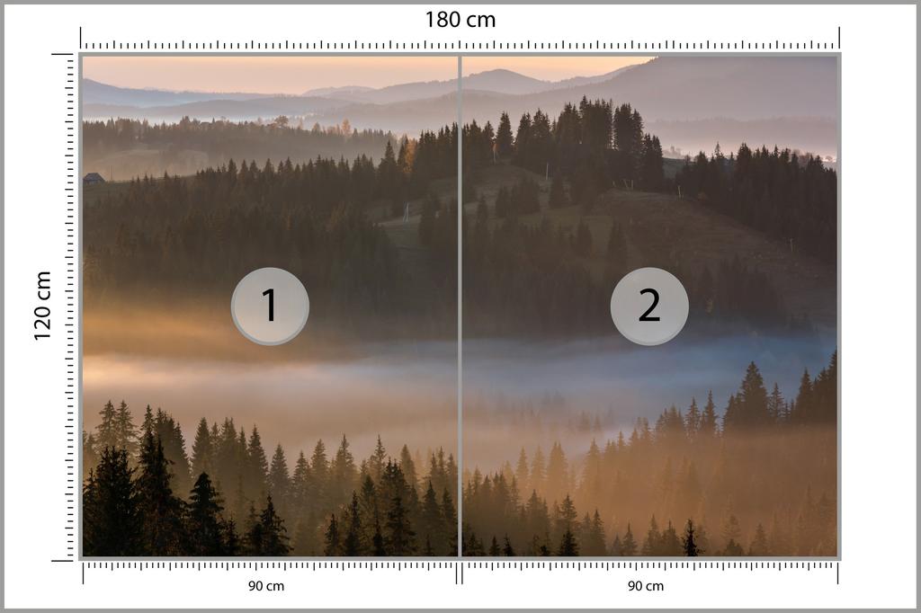 Fototapeta Les v mlze, hladká vinylová 180x120