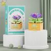MOC Blume Sukkulente Topfpflanze Modellbaustein DIY Ewiger Strauß Zuhause Schreibtisch Pflanzen Dekoration Ziegel Mädchen Geschenk Kinderspielzeug
