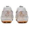 Asics Ds Light Series Round Toe Lace-Up Ag (Rubber Short Stud) Soccer Shoes Men Soccer Shoes Platinum 1103A032-100