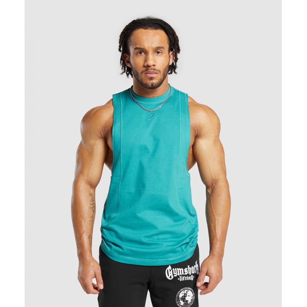 

Майка GYMSHARK Premium с подъемным рычагом Bondi Teal A5A4W TBNJ 3XL