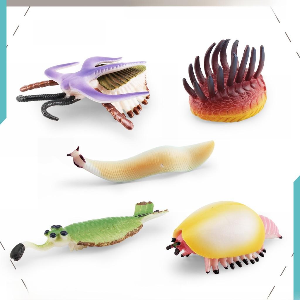 Marine Animal Pvc Model Set With Realistic Detail For Educational Display And Collection
