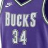 Nike Antetokounmpo Milwaukee Bucks Nba Dri Fit Jersey DO9450-504
