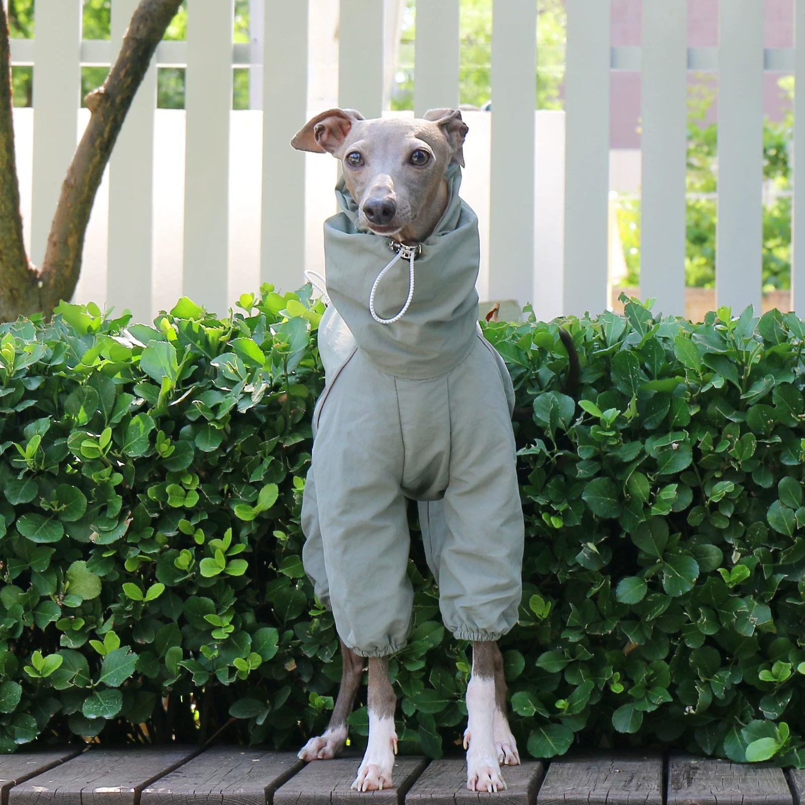 

Waterproof Dog Raincoat Sunproof Adjustable High Neck Full-Body Dog Jacket for Italian Greyhound and Whippet and Slim Breeds S 4 to 6kg