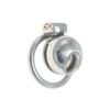 Stainless Steel Chastity Lock Penis Cage Thickened Veil Stable Snap Ring for Men Wear Out Lock Bird SM
